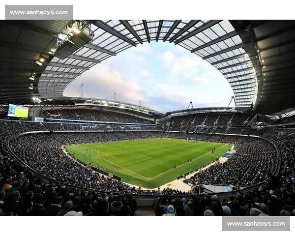 绿茵场上的激情与梦想足球世界全景探索传奇故事与未来发展趋势解析