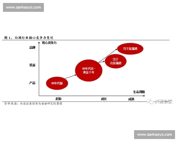 深度解析体育比赛复盘方法及其对提升团队表现的应用策略